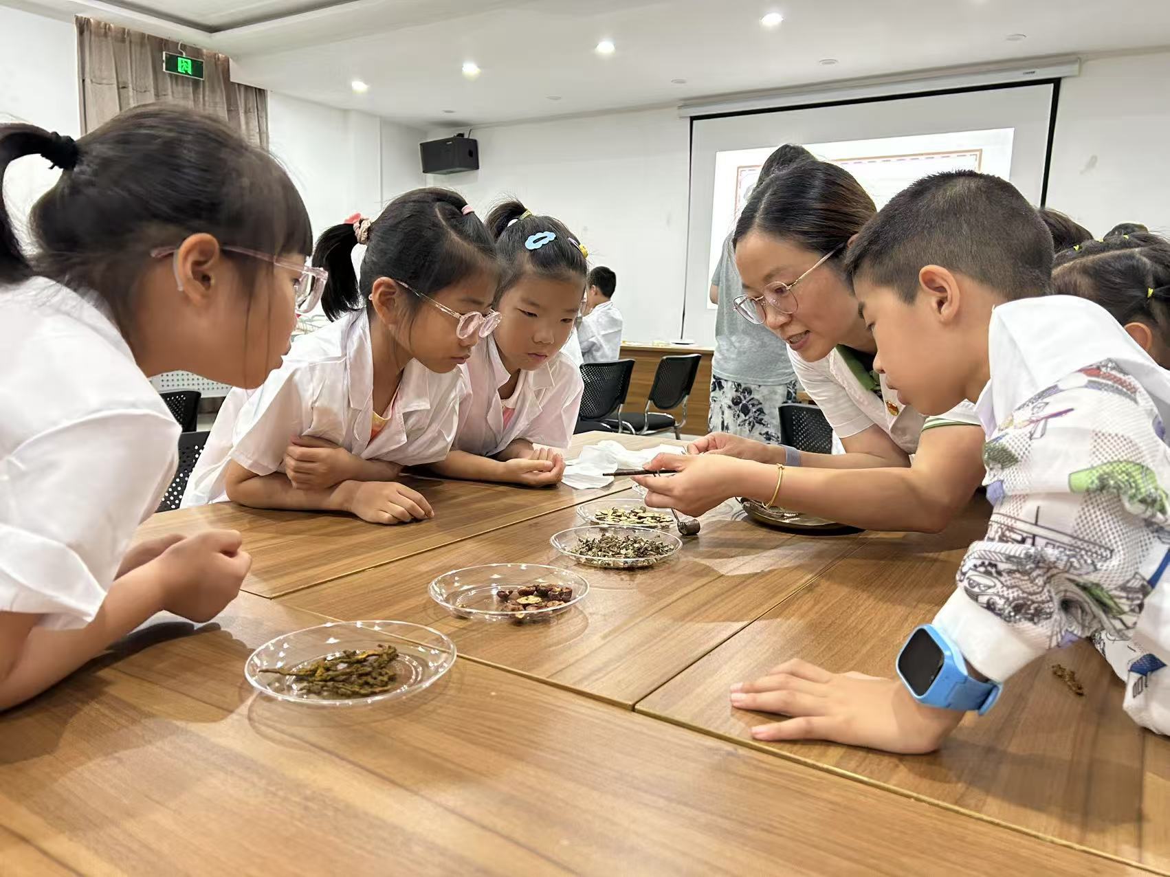 江北工会让小候鸟传承中华医药文化