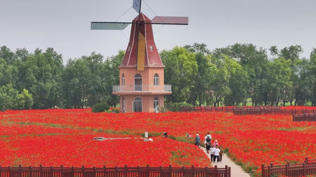 游客畅游药博园花海。 李萌 摄