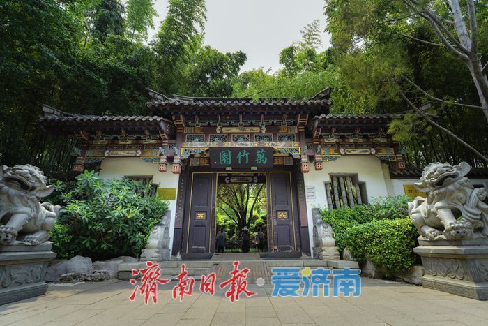 一年四季 泉在济南丨酷暑时节，来济南万竹园解锁夏日清凉