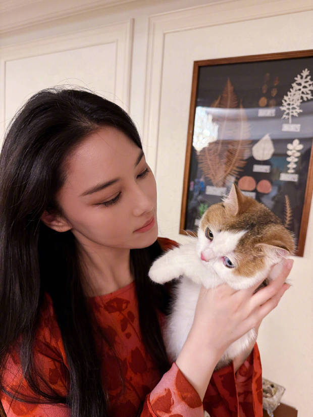 张馨予近距离欣赏小猫咪的可爱容貌。