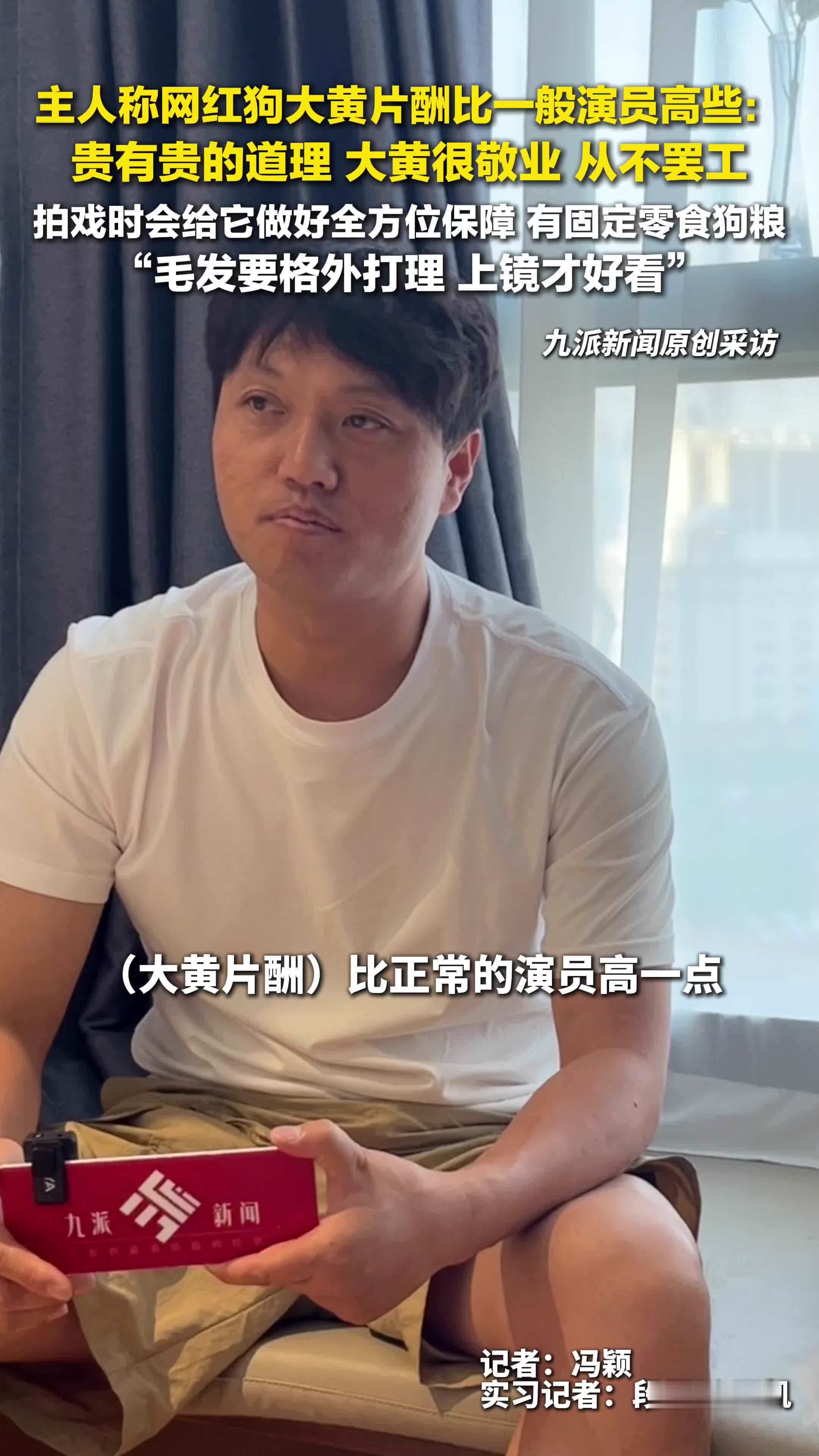 主人称网红狗大黄片酬比一般演员高