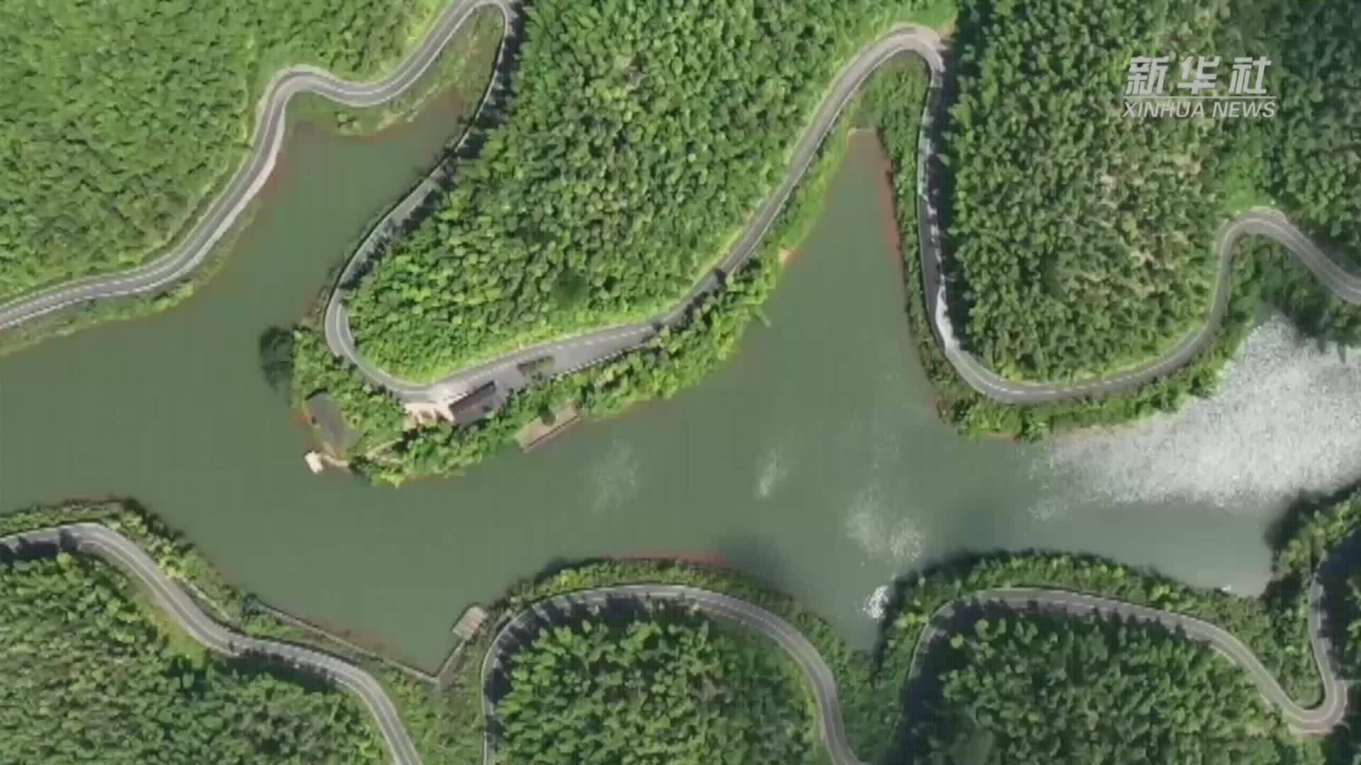 富民强县看产业：百万亩生态竹海背后的“绿色银行”