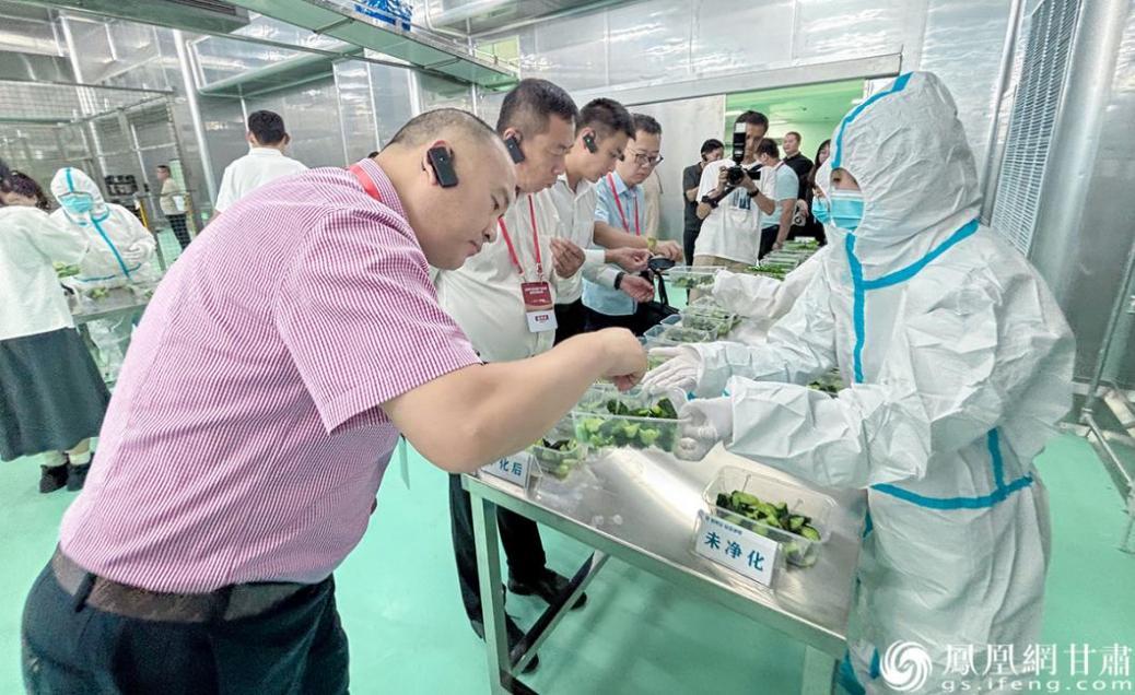 驻外商务代表处和商协会负责人走进兰州牛肉拉面超级工厂，详细了解预包装产品品质与工艺。永登县融媒体中心供图