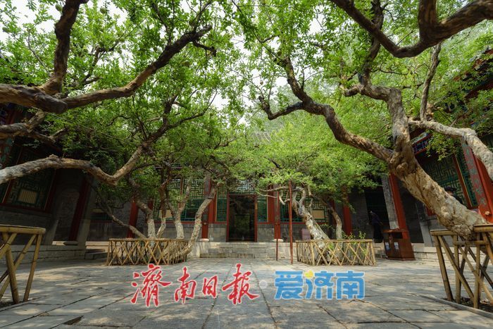 酷暑时节，来济南万竹园解锁夏日清凉