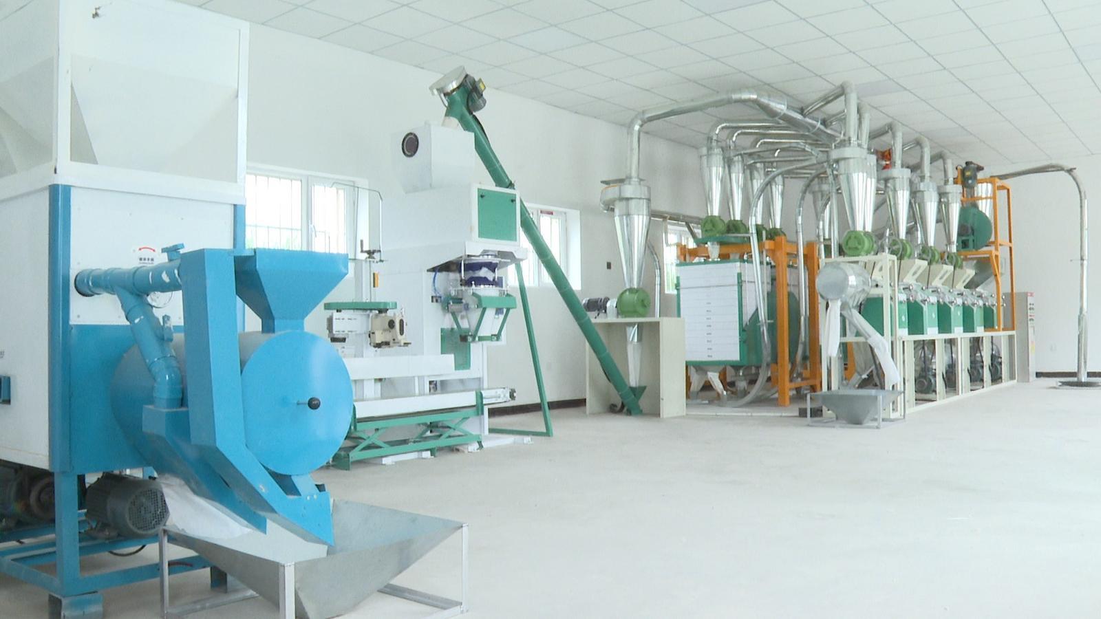 老校舍变身致富车间 永昌这儿的新“磨坊”火了