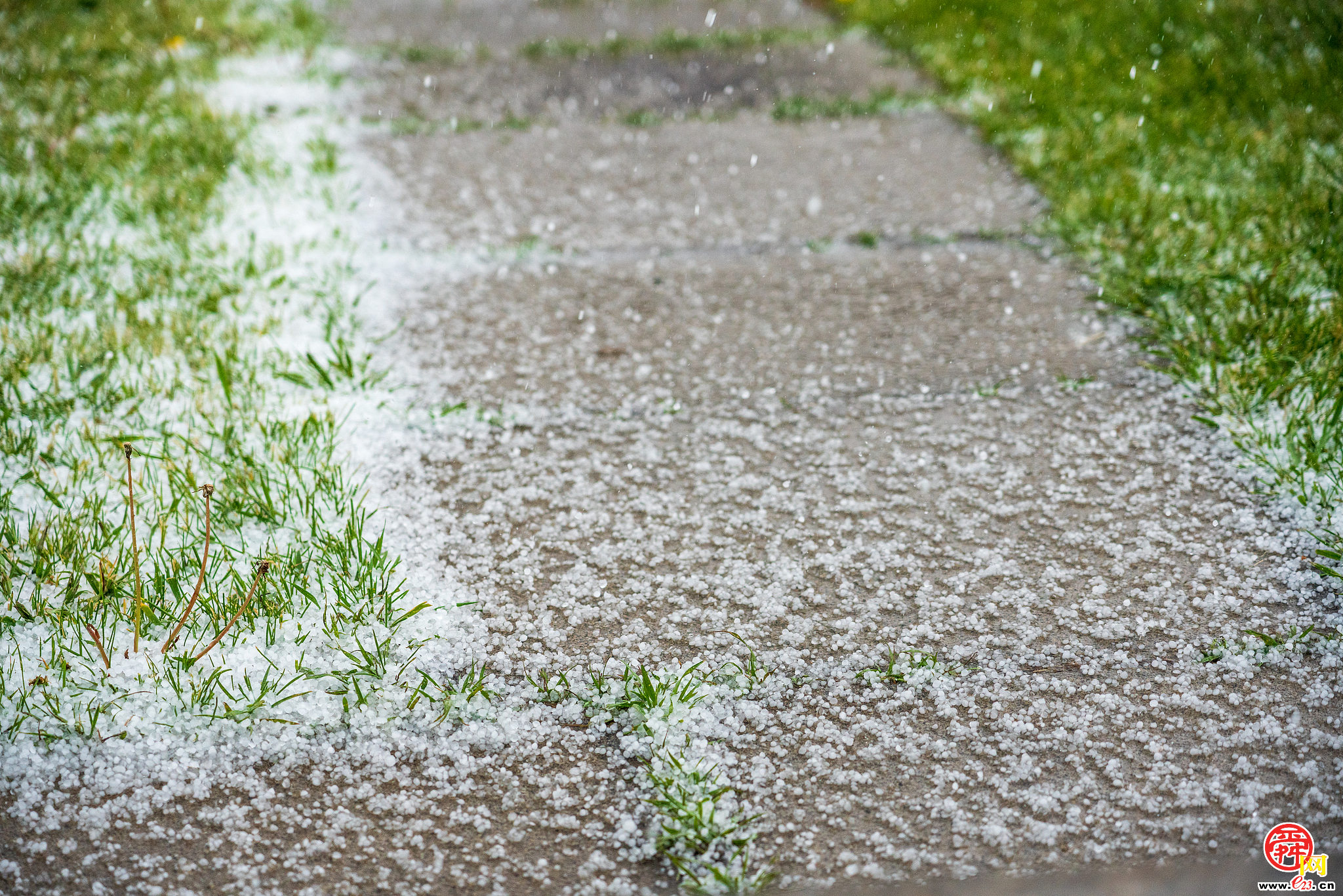 济南市气象局发布冰雹橙色预警信号：目前市区出现局地小冰雹