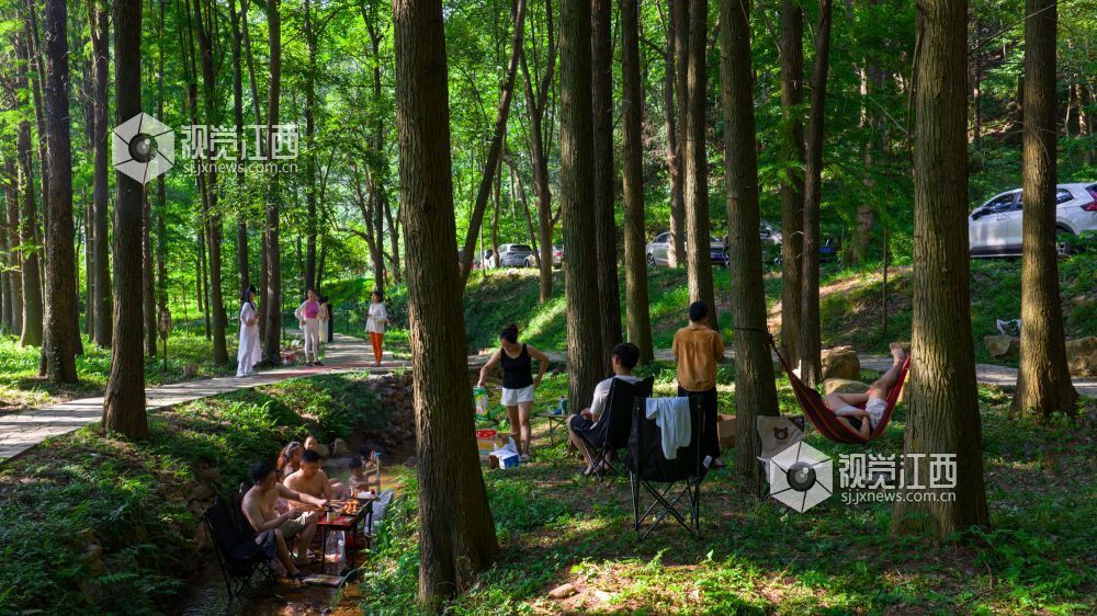 2025年7月5日在江西省吉安市新干县云峰岭林场拍摄的画面。