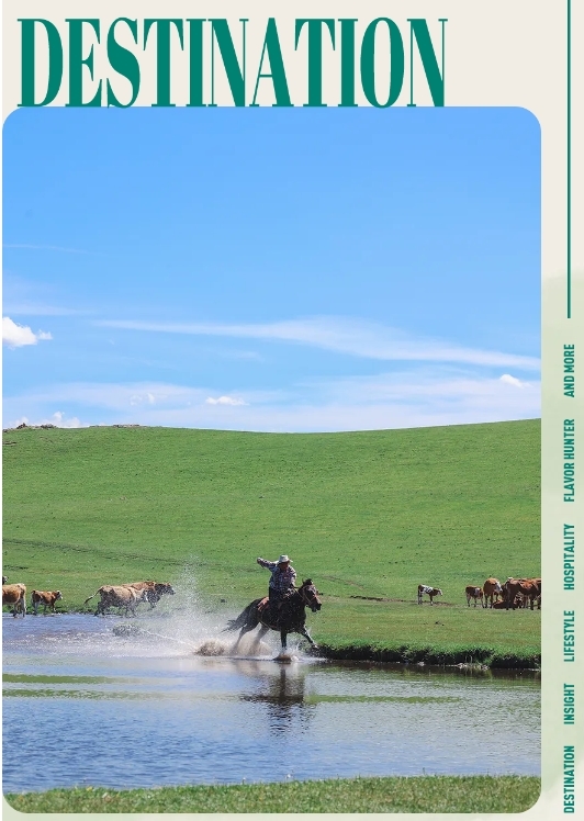 淡季的乌兰布统草原,比新西兰还美!