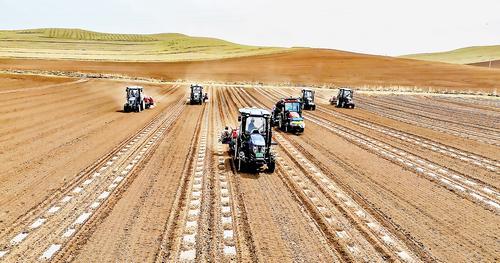5月26日，沽源县白土窑乡藜麦种植基地开展机械化藜麦播种作业。（本报资料片） 沽源县融媒体中心供图