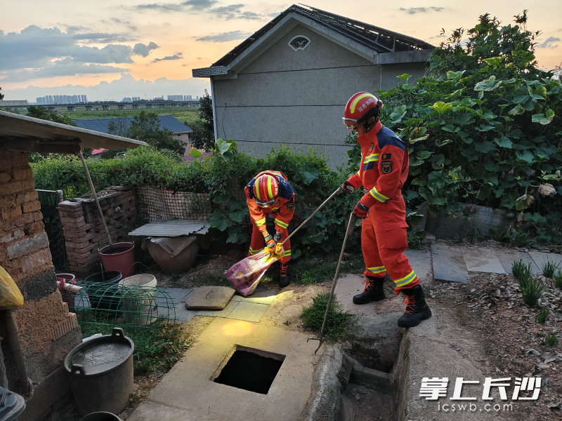 消防员在居民家的水池中将毒蛇捕获。 长沙晚报通讯员 罗子郡 摄