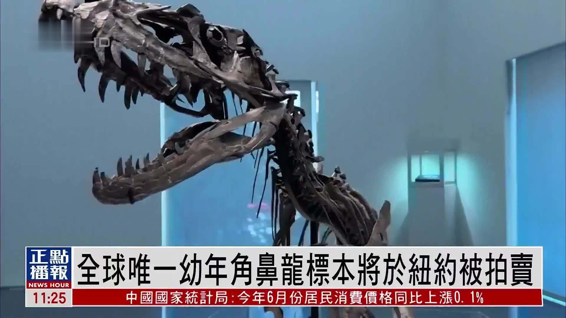 全球唯一幼年角鼻龙标本将于纽约被拍卖