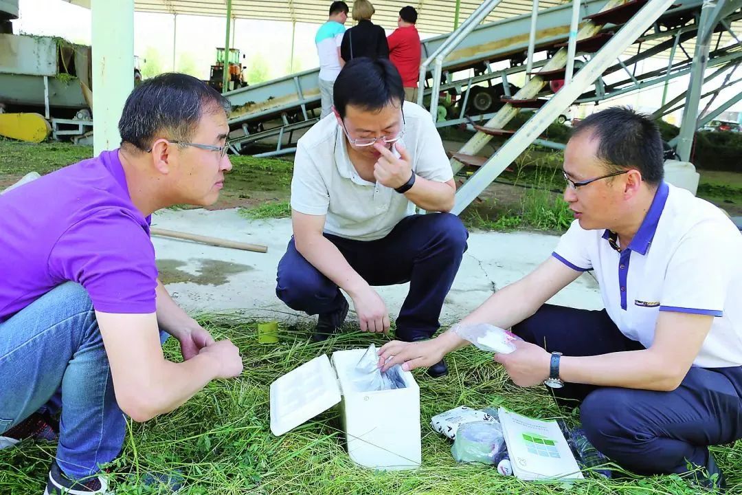 郭旭生指导青贮饲料生产