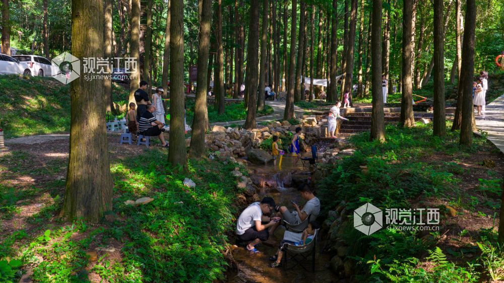 2025年7月5日在江西省吉安市新干县云峰岭林场拍摄的画面。