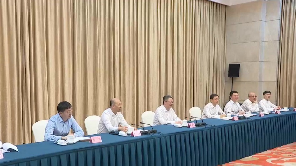 任振鹤会见王树东一行