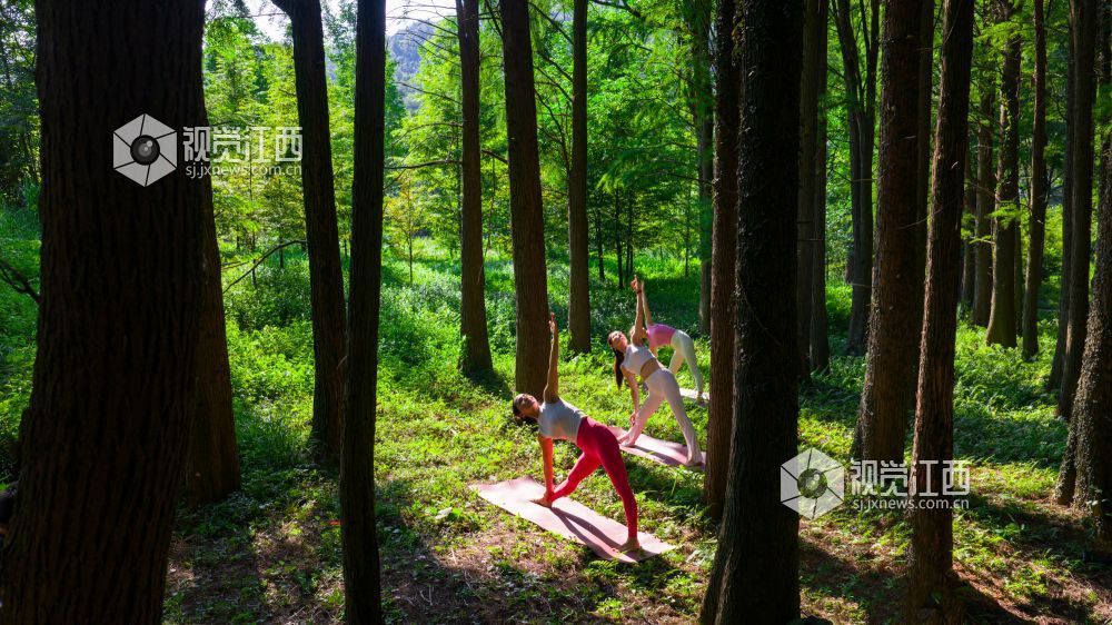 2025年7月5日在江西省吉安市新干县云峰岭林场拍摄的画面。