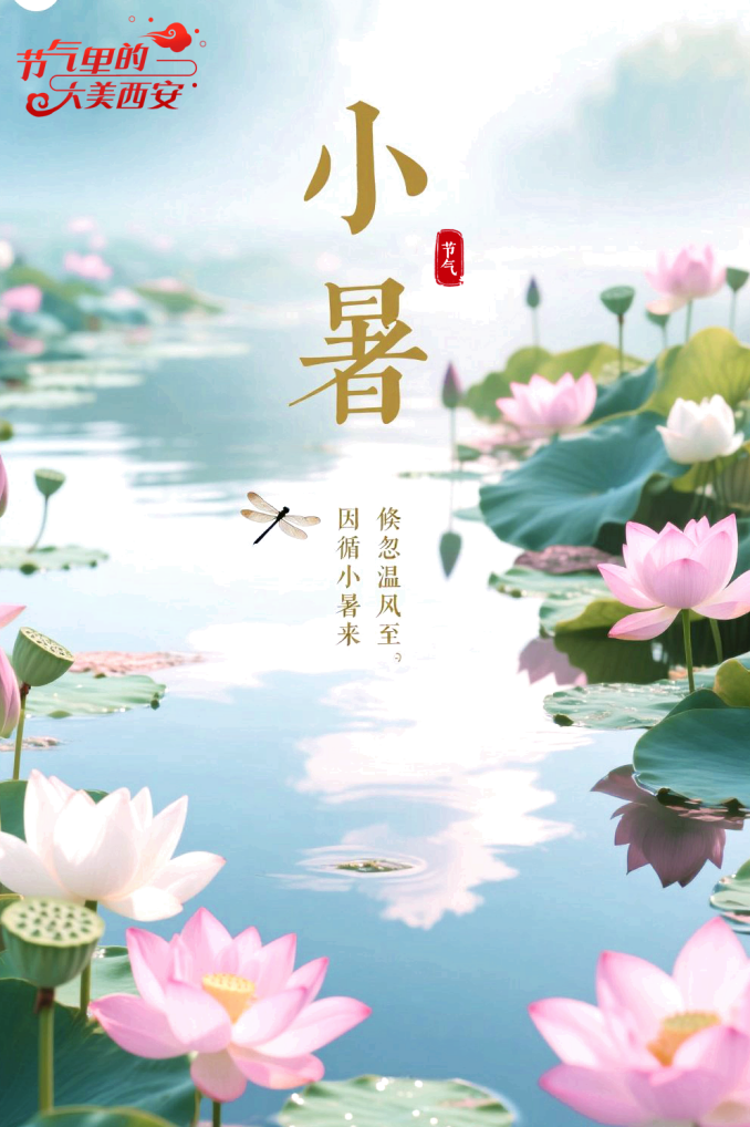节气里的大美西安 | 今日小暑 一座古城的夏日叙事