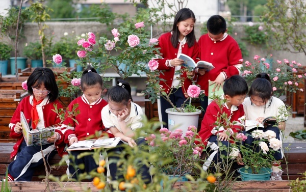 （铜官区杨家山小学空中花园里的美育实践课堂 杨家山小学供图）