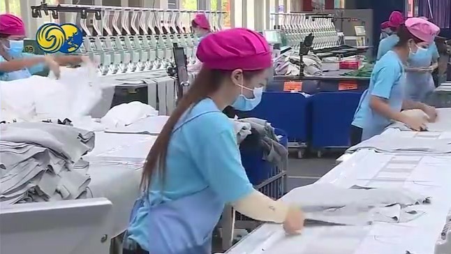 越南学者：美国对越南关税降至20%可接受