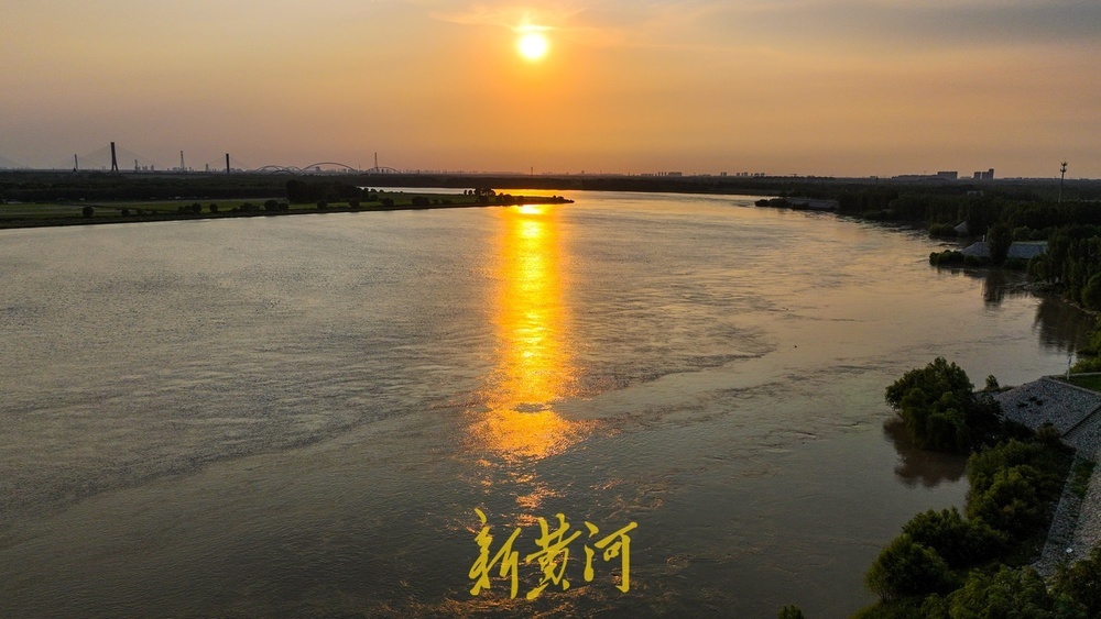 黄河持续大流量高水位运行，夕阳西下河面洒满金光
