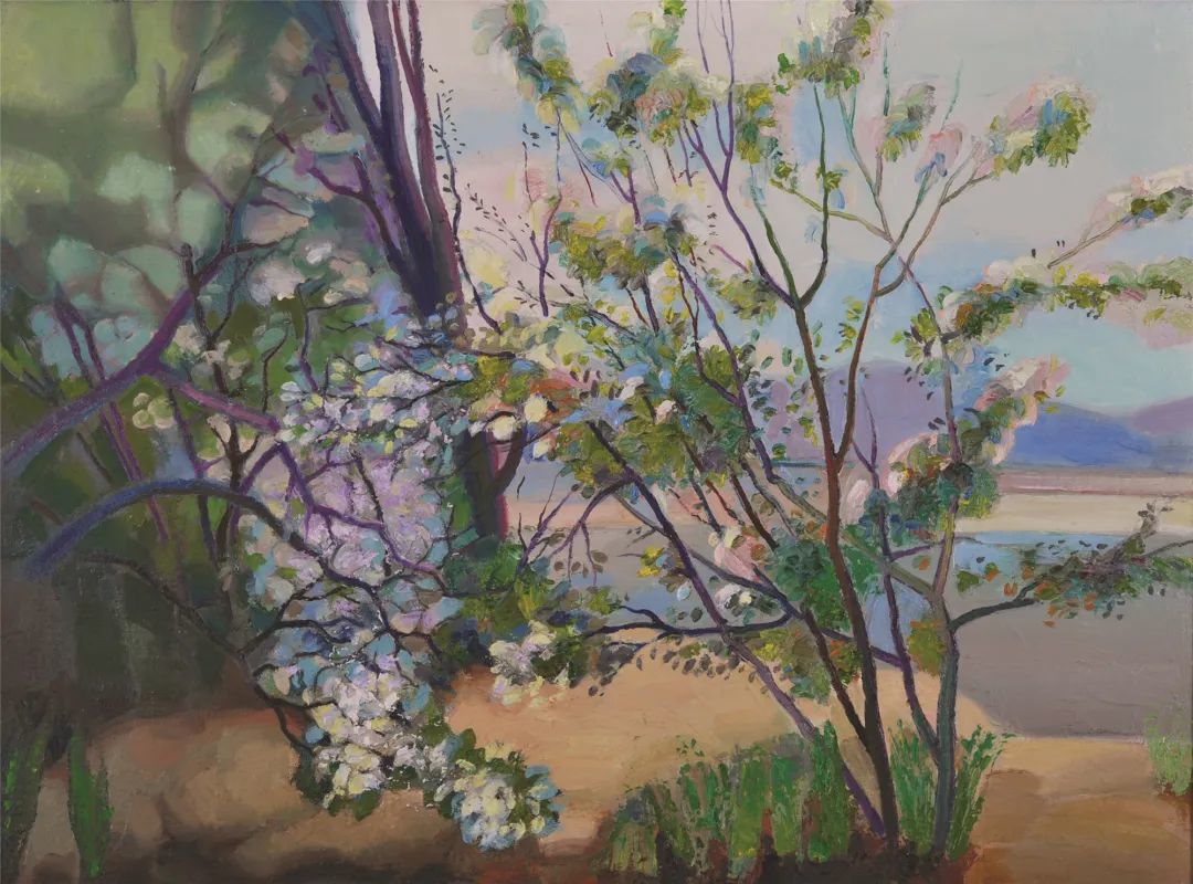 伯拉日诺夫•阿•德（俄罗斯）《小苹果树》油画1999
