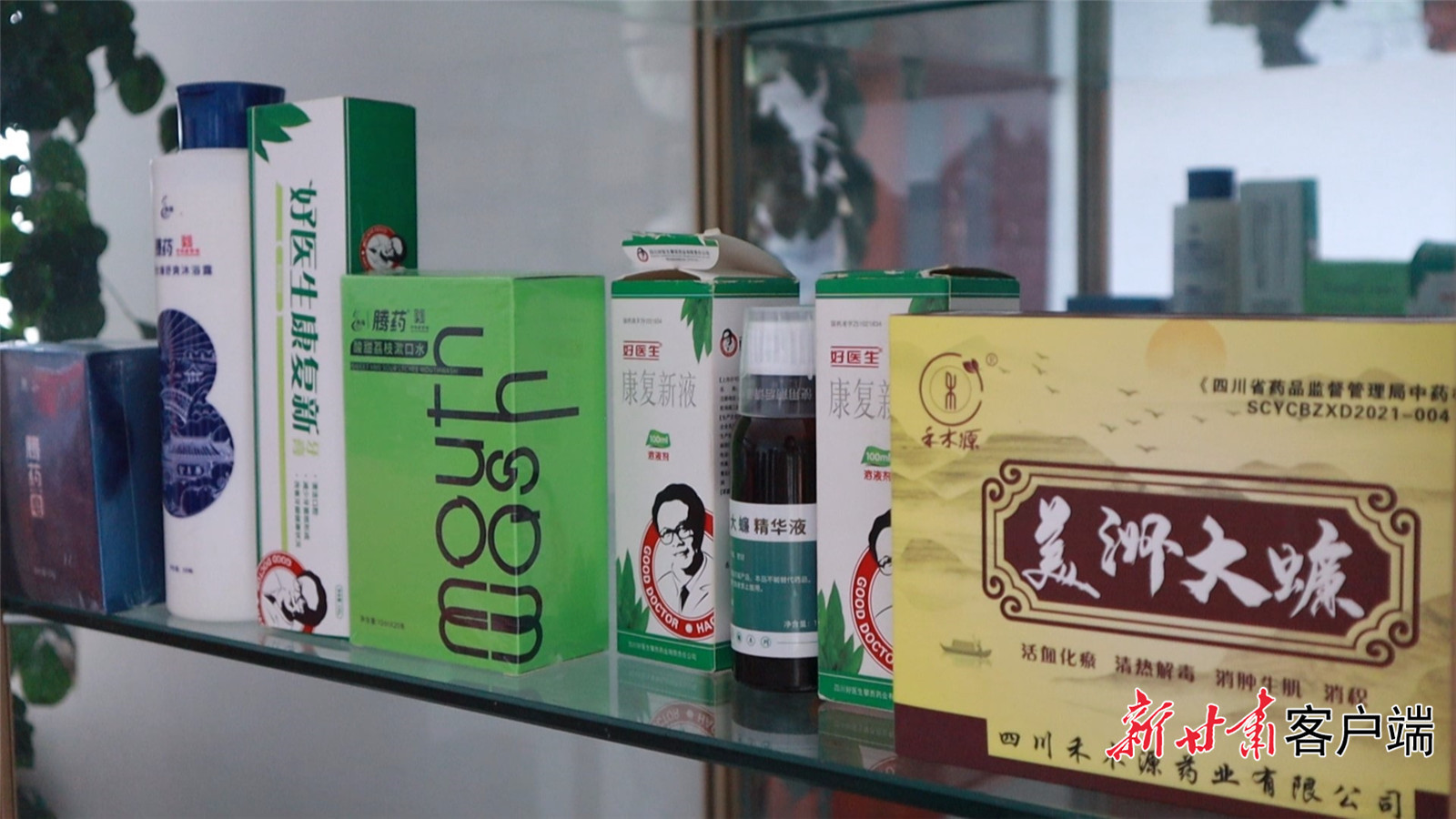 美洲大蠊提取液制成品