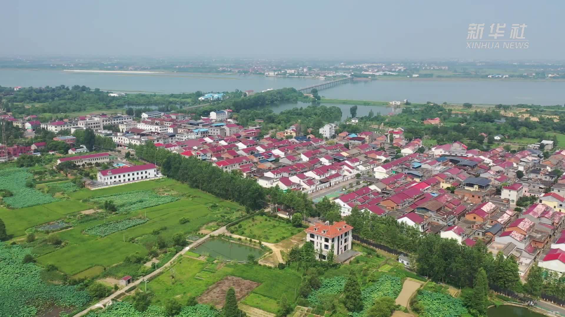 活力中国调研行｜破旧老屋圈“新粉”，这个空心村咋就变身江西“阿勒泰”？