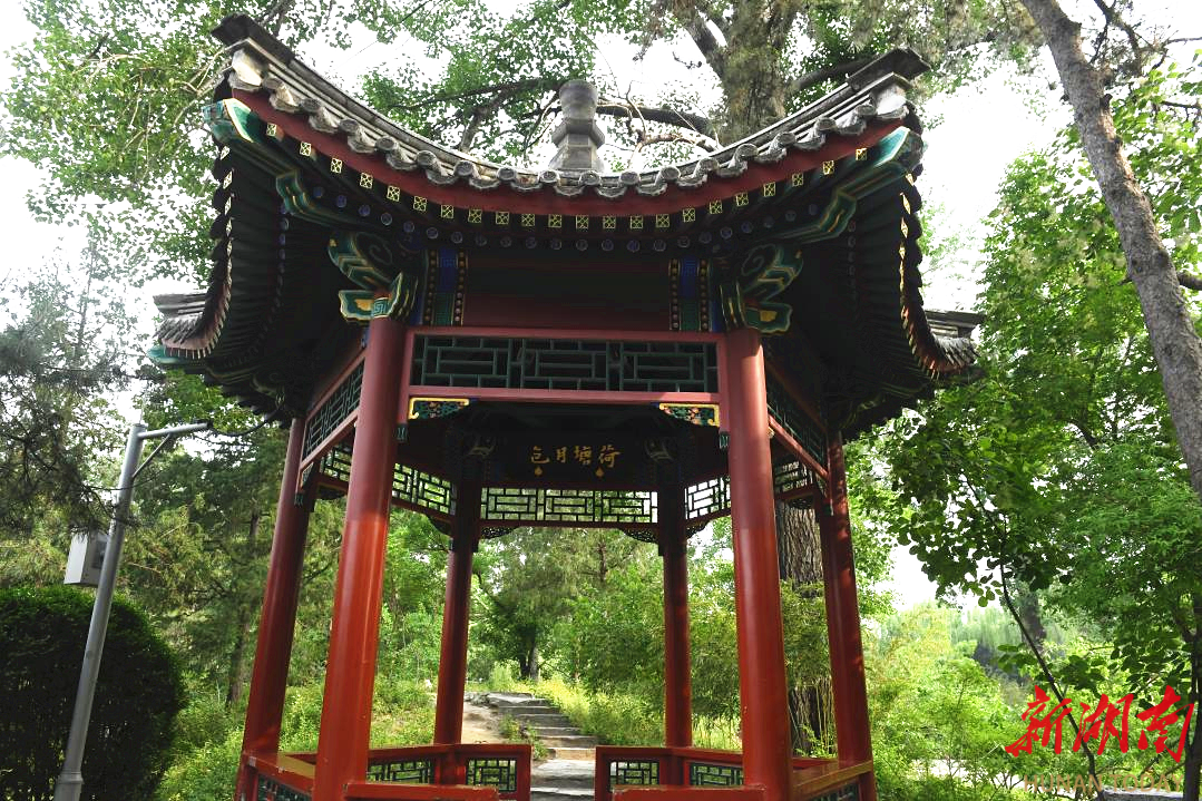 荷塘月色亭。