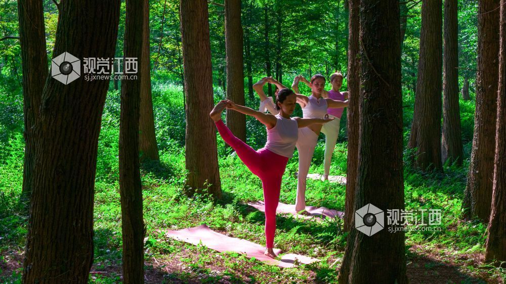 2025年7月5日在江西省吉安市新干县云峰岭林场拍摄的画面。