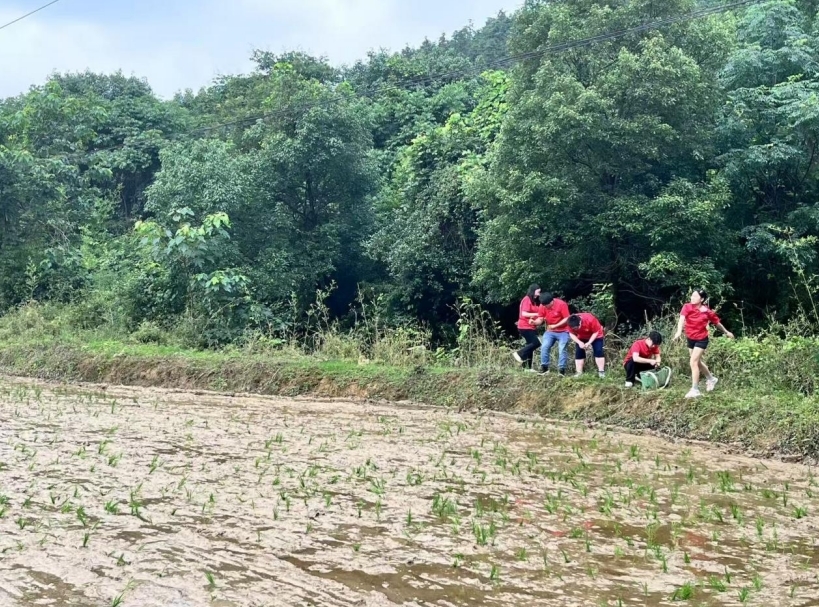 江西新能源科技职业学院开展暑期“三下乡”社会实践活动