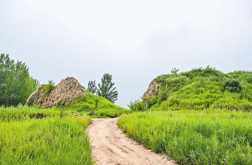 7月10日拍摄的鄚州城遗址残存城墙。 本报记者 李东宇摄