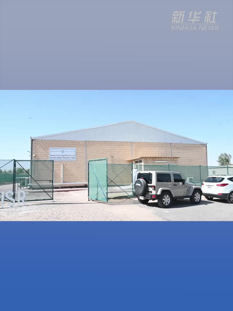 科威特举办“虾之丰收”活动展示本地可持续水产养殖成果