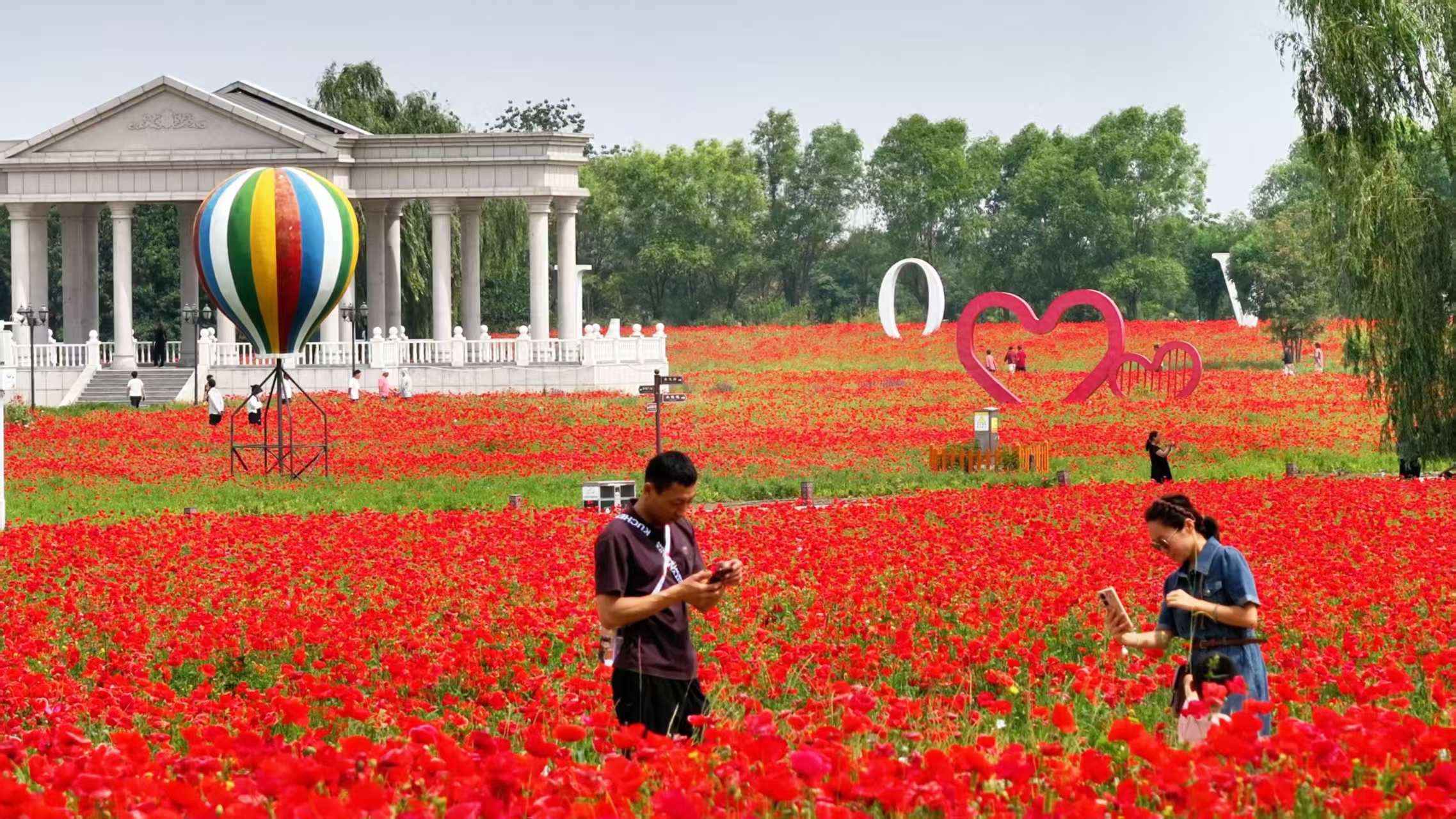 游客在药博园花海拍照打卡。李萌 摄