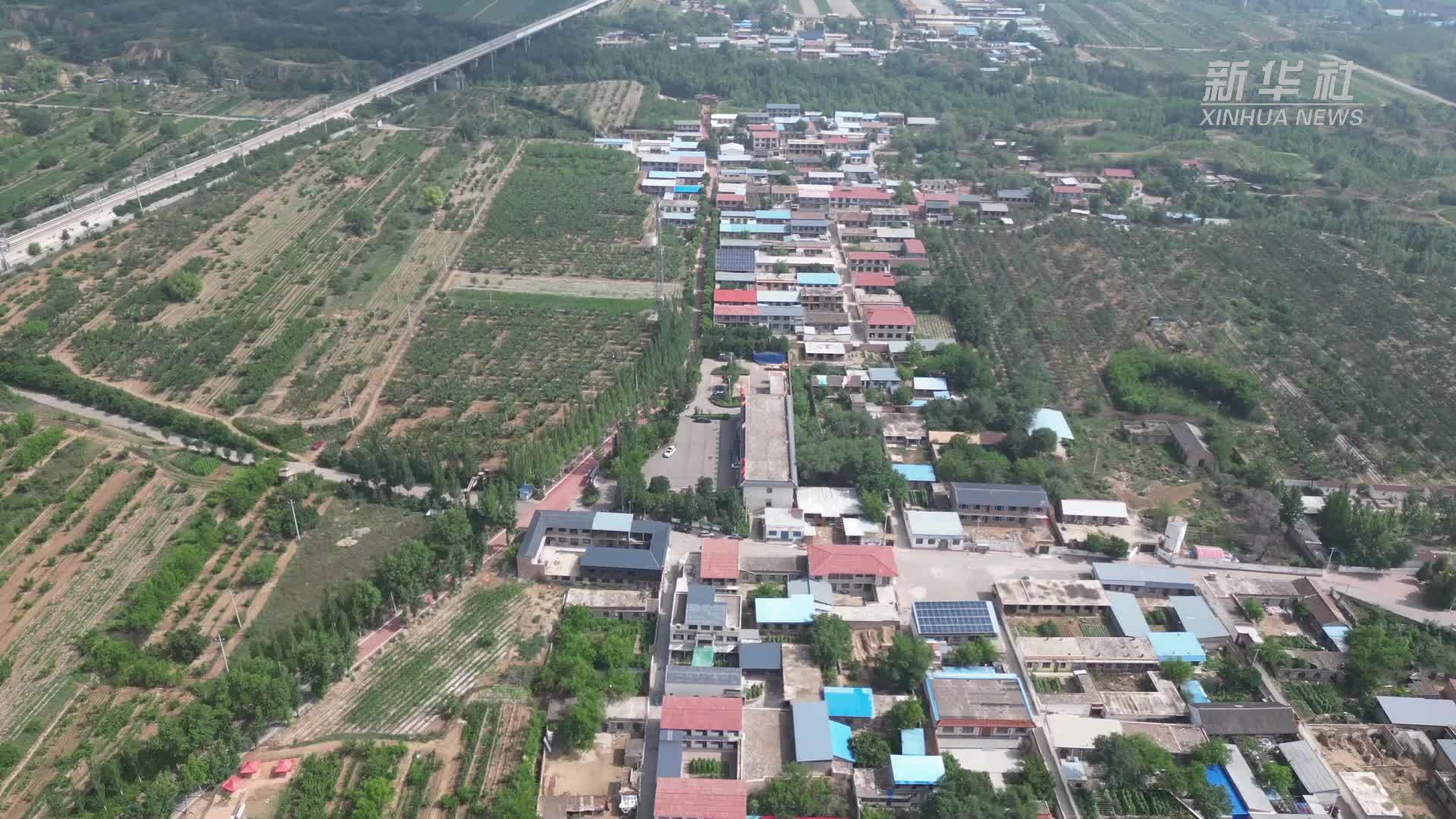 党旗在基层一线高高飘扬丨了不起的她：十年驻村路 绘就乡村振兴新图景