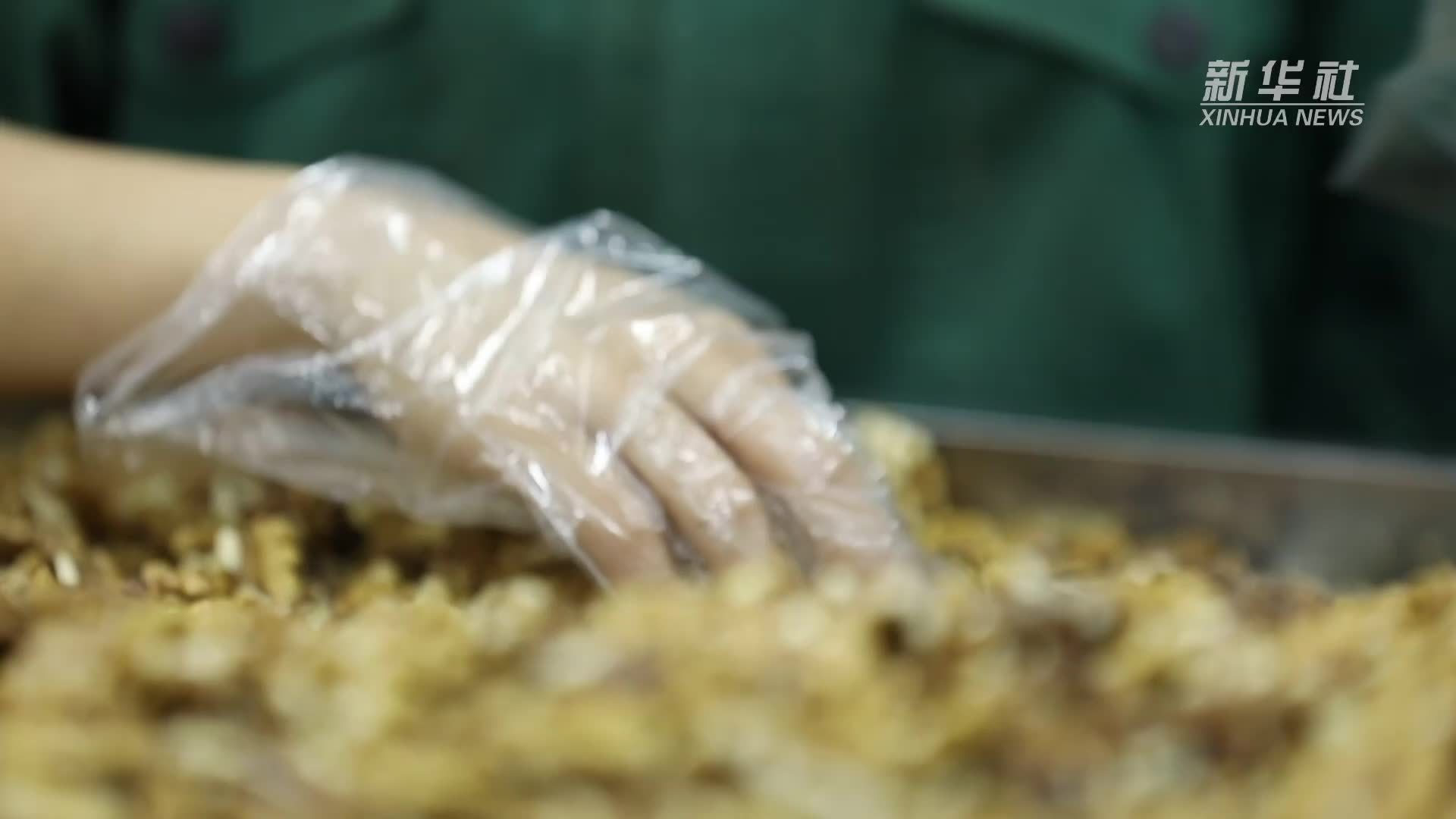 山海同心谱新篇