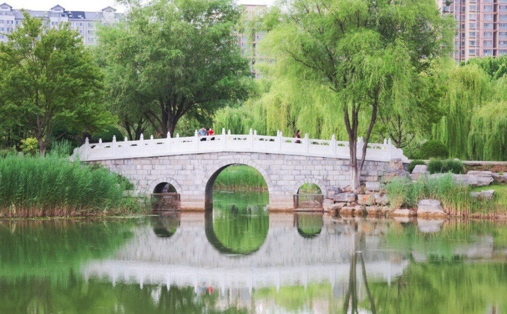 聊城凤凰苑植物园：夏日觅凉好去处 