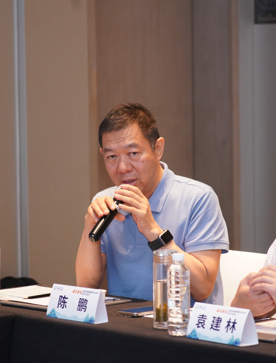 陈鹏教授