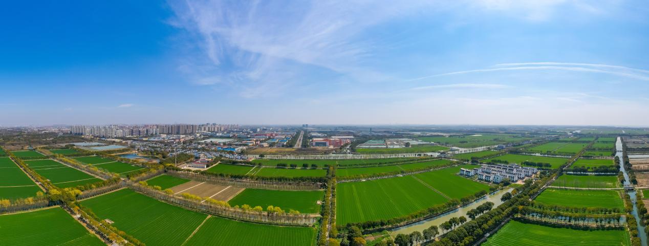 农业示范区