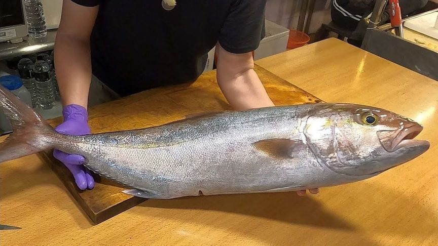 顶级食材鰤鱼做成刺身，说它是刺身界的硬菜，有过之而无不及