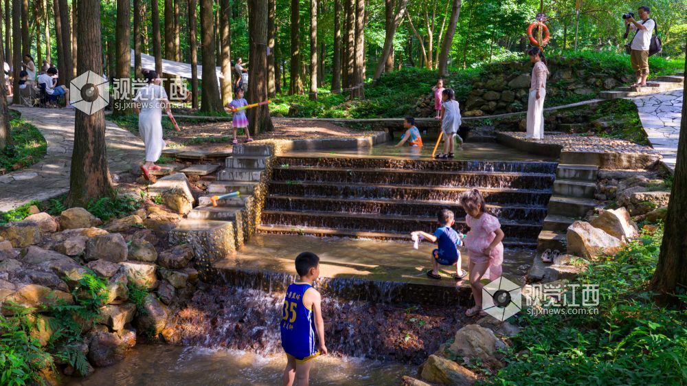 2025年7月5日在江西省吉安市新干县云峰岭林场拍摄的画面。