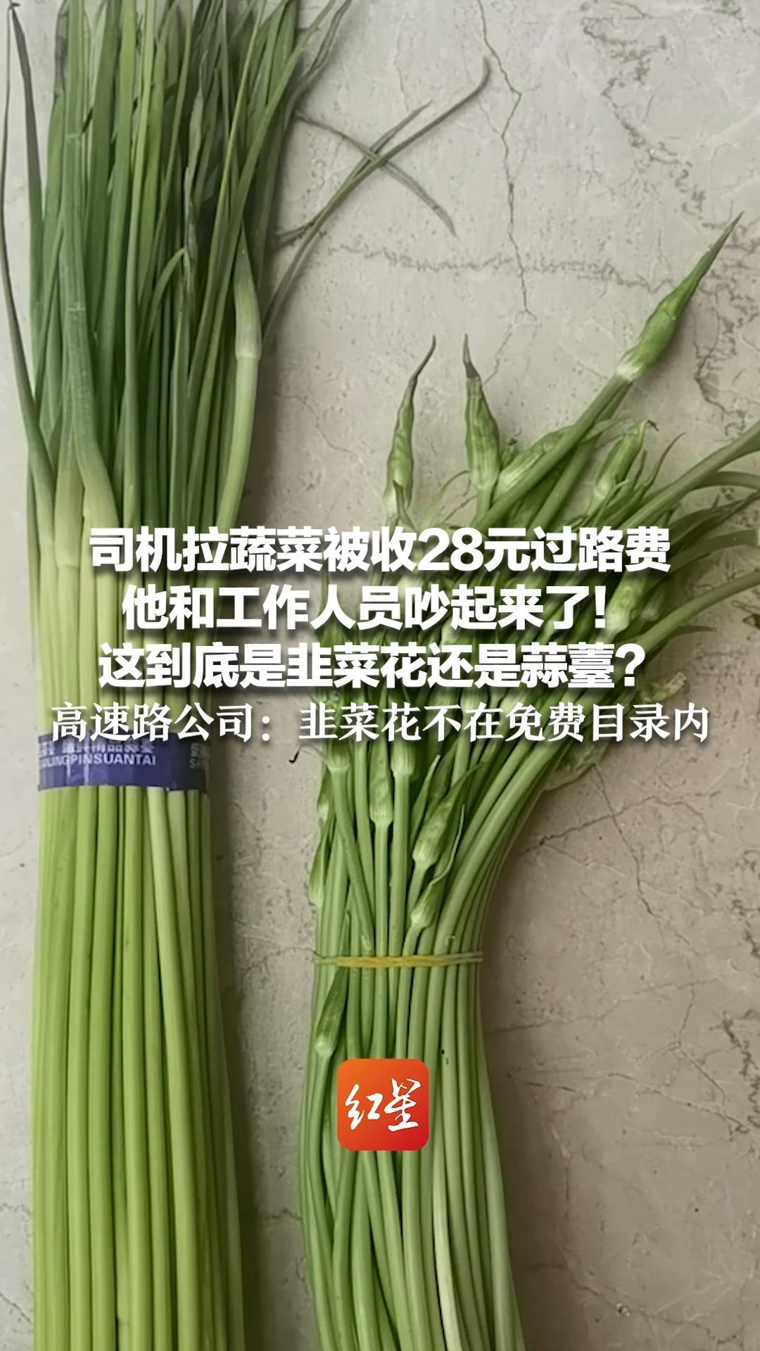 司机拉蔬菜被收28元过路费 他和工作人员吵起来了！这到底是韭菜花还是蒜薹？高速路公司：韭菜花不在免费目录内
