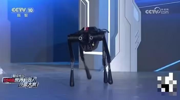 10.3 米 / 秒全球最快:国产黑豹2.2四足机器人首秀,完成全球首次“人机百米对决”