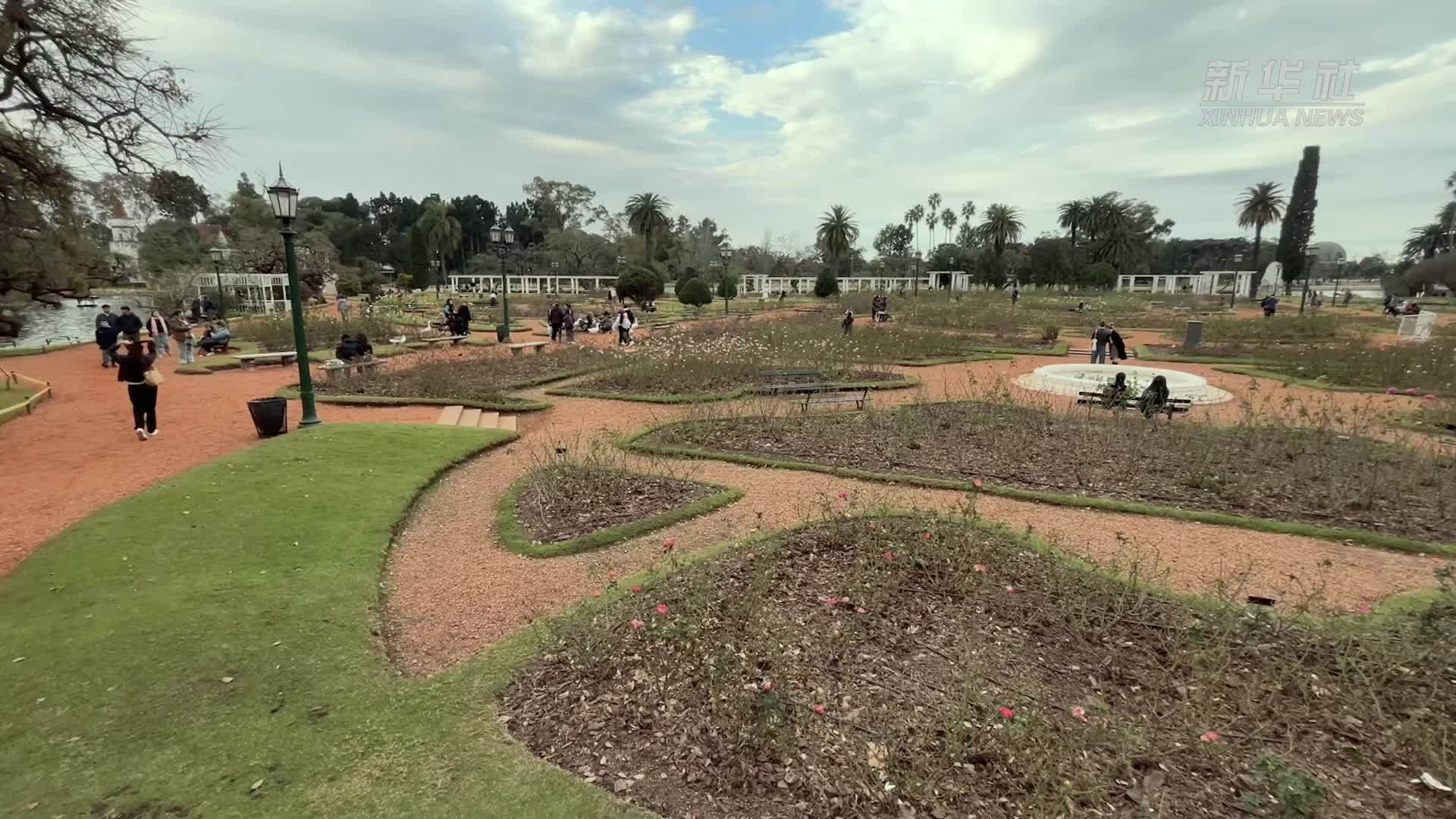 阿根廷首都开启玫瑰花修剪季