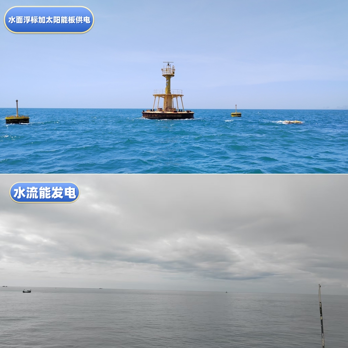 海南热带海洋学院科研团队 建成全国首个教学科研型海洋牧场