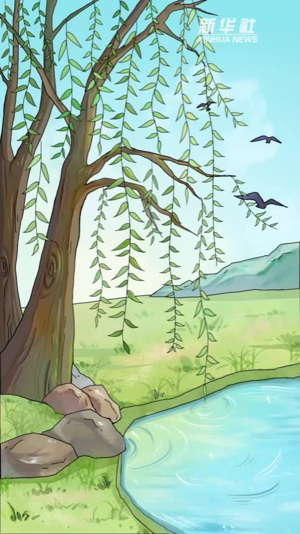 创意手绘动画：小暑至 夏意浓