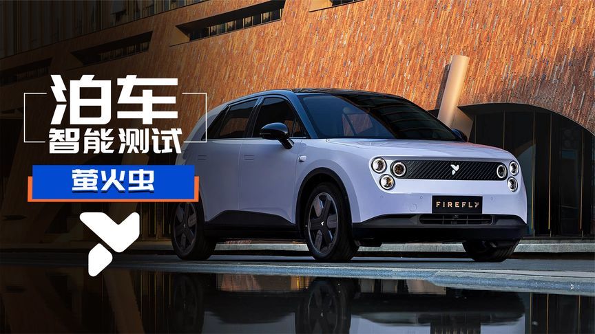 断头路都停不进？美女车主看了想退车