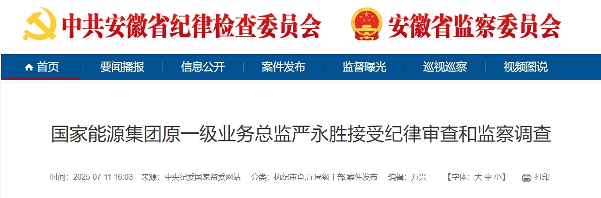国家能源集团原一级业务总监严永胜被查！
