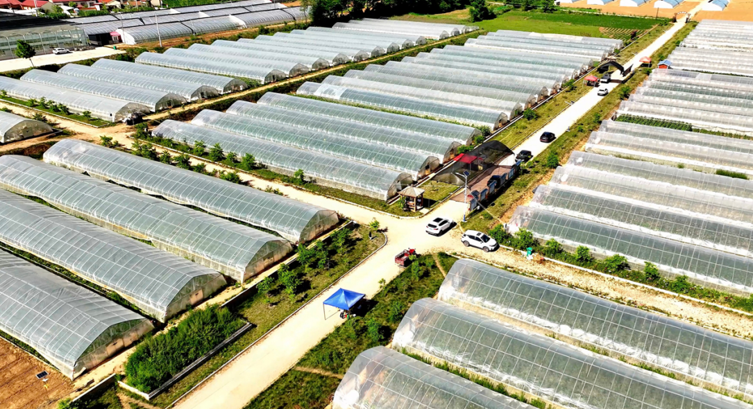 采摘垂钓吃美食　华亭“明星村”农旅融合藏妙招