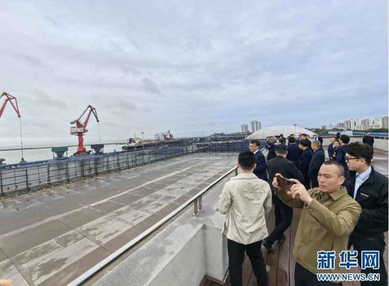 2025年3月7日，由湖南省政府驻海南办事处组织的湖南企业考察团在海南东方港考察。新华网发