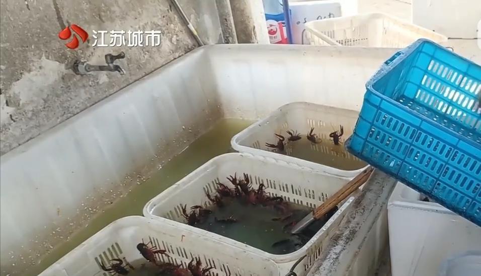 月售千单的网红外卖店被曝用草酸洗龙虾 市监部门介入调查