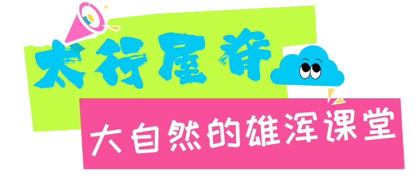 333.png